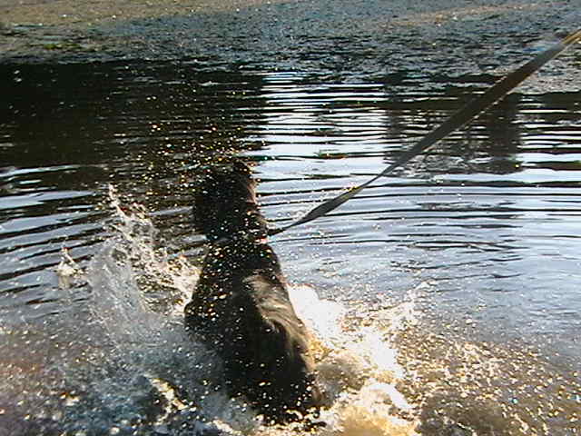 IMGA0166.JPG