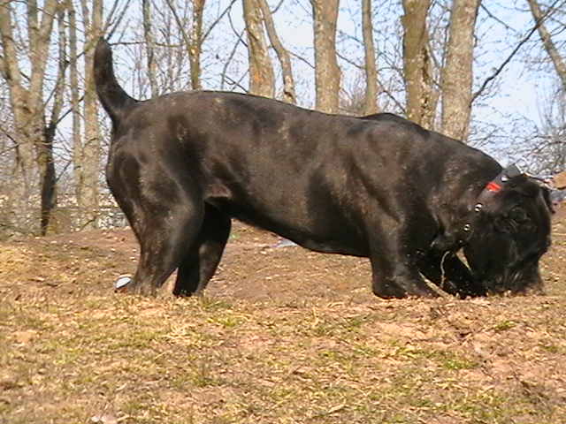 IMGA0243.JPG