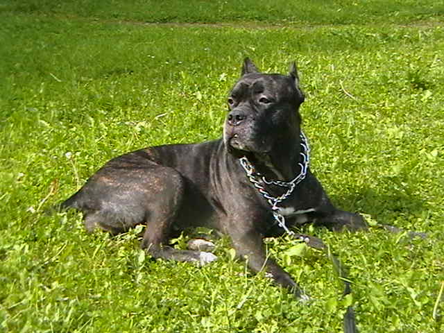 IMGA0948.JPG