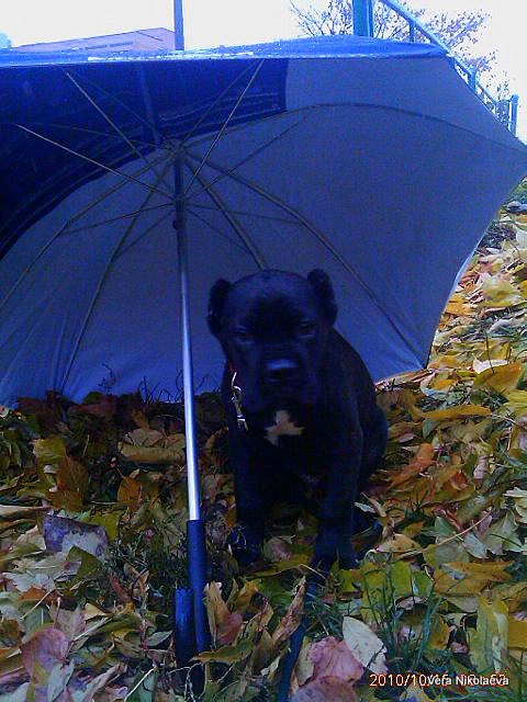 IMAG0332.jpg