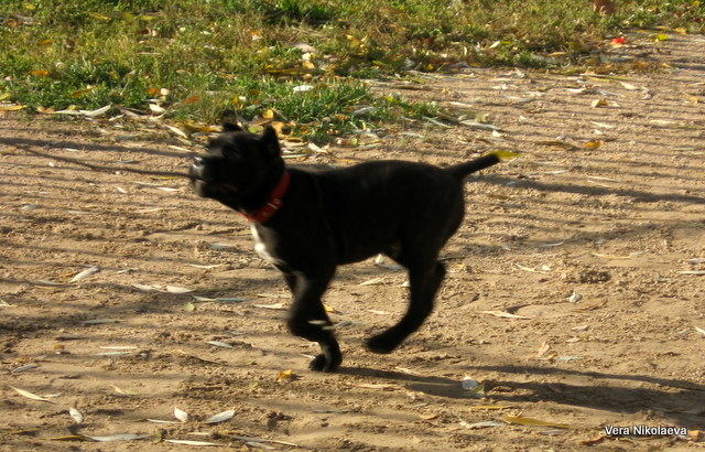 IMG_6597.JPG