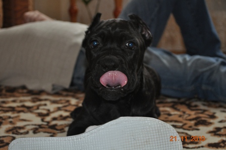 DSC_0607.JPG